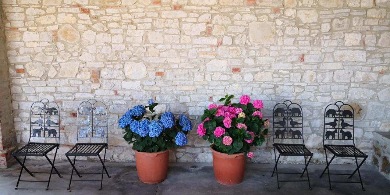 Agriturismo Agronauta Villa Piozzano Exterior foto